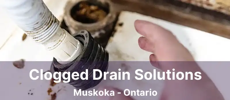 Clogged Drain Solutions Muskoka - Ontario