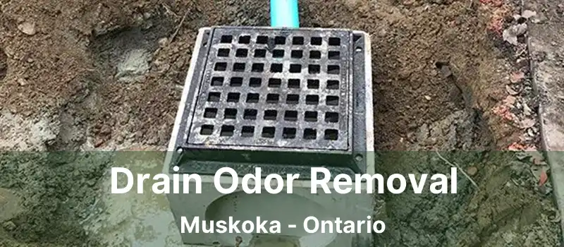 Drain Odor Removal Muskoka - Ontario