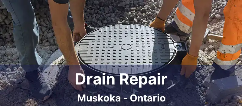 Drain Repair Muskoka - Ontario