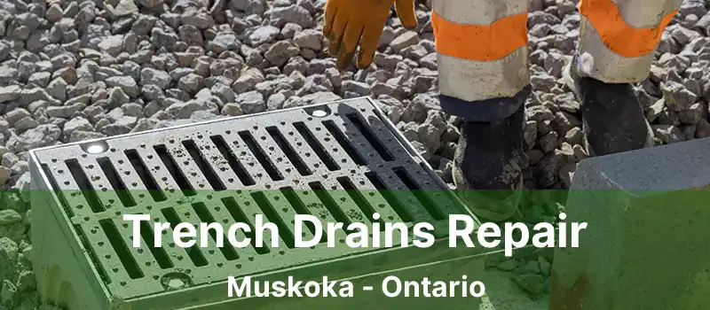  Trench Drains Repair Muskoka - Ontario