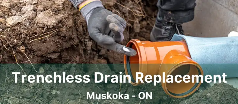 Trenchless Drain Replacement Muskoka - ON